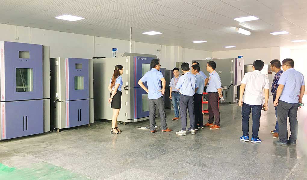 香蕉视频在线看污污售后服务